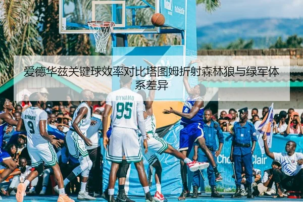 爱德华兹关键球效率对比塔图姆折射森林狼与绿军体系差异